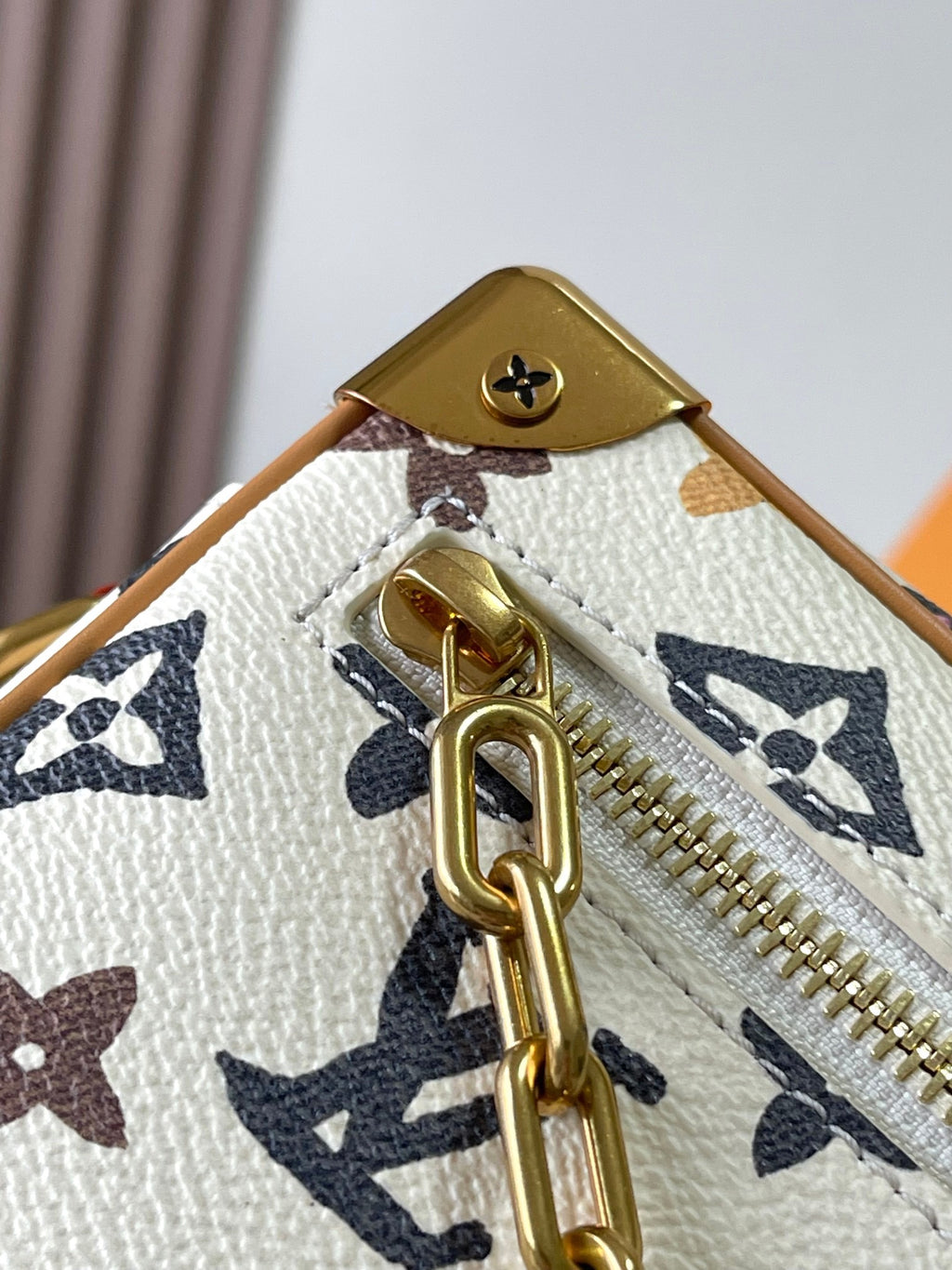 Lv bag