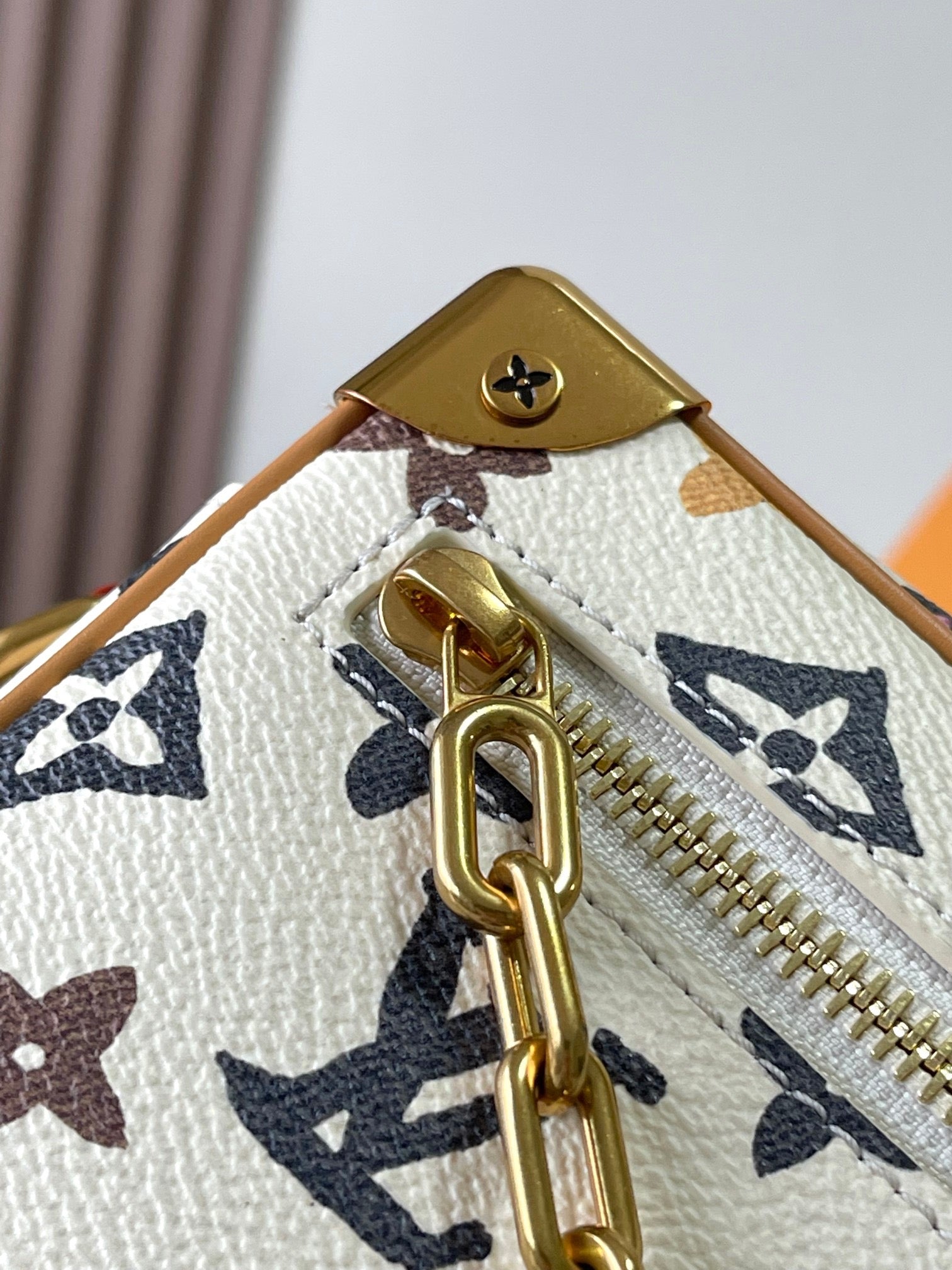 Lv bag