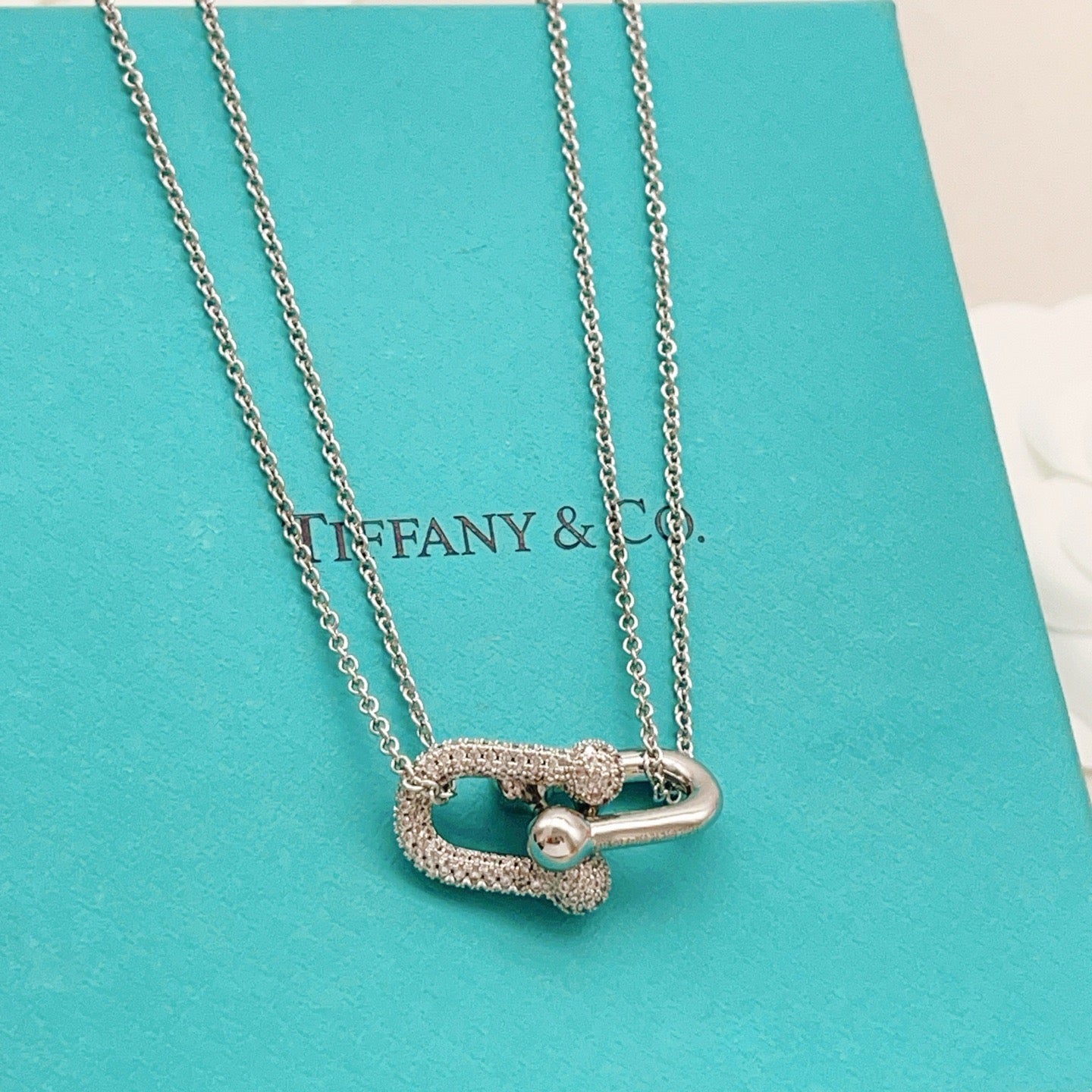 Tiffany necklace