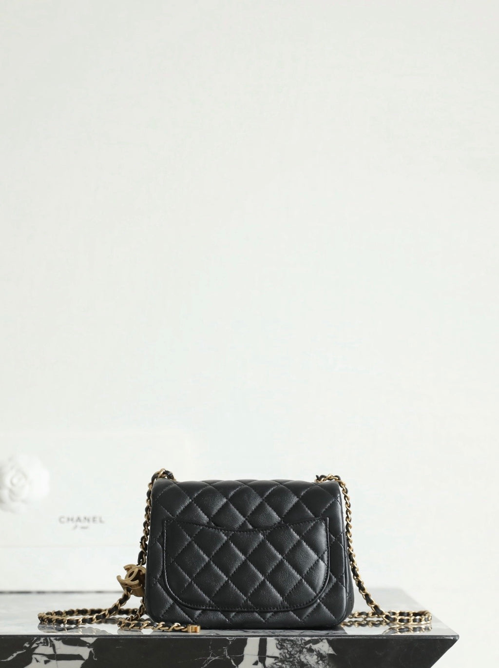 Chanel bag