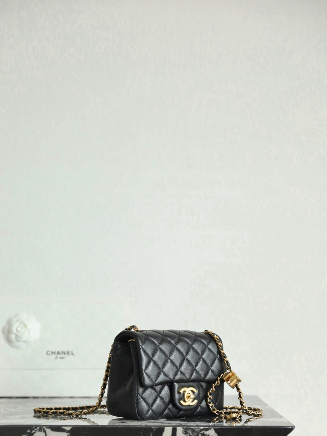 Chanel bag
