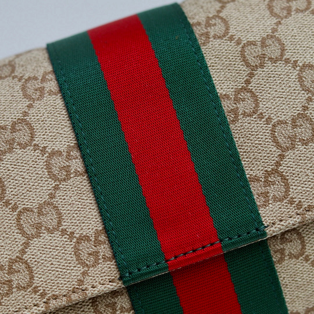 Gucci bag