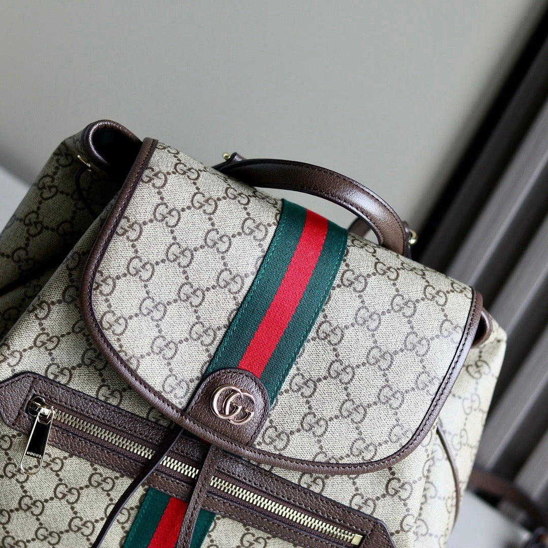 Gucci bag