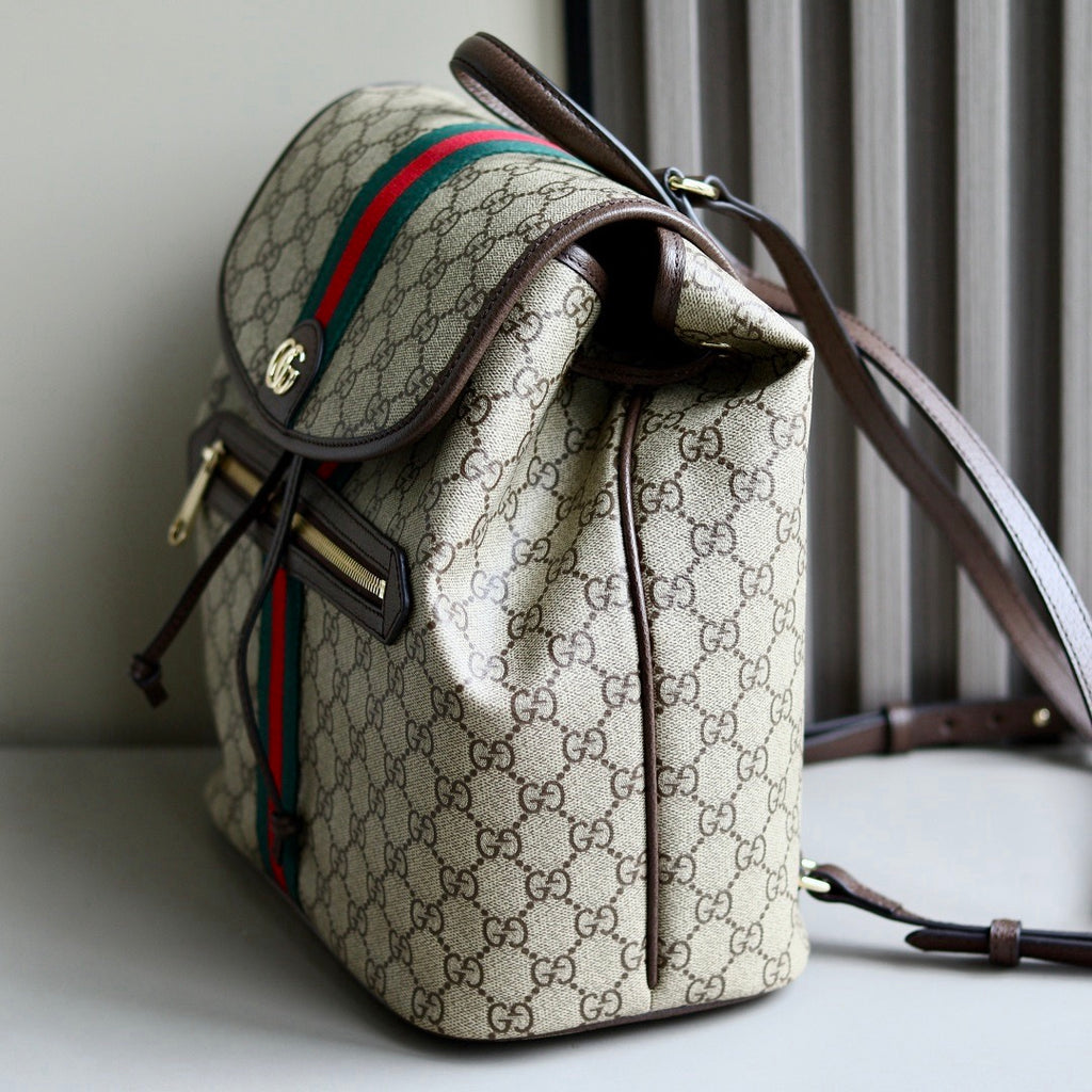 Gucci bag