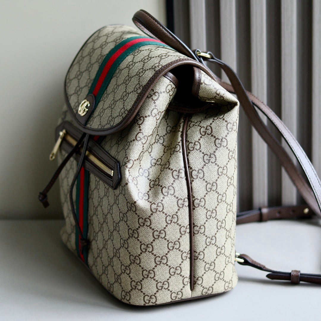 Gucci bag