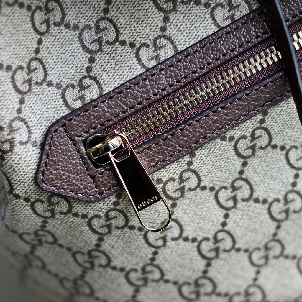 Gucci bag