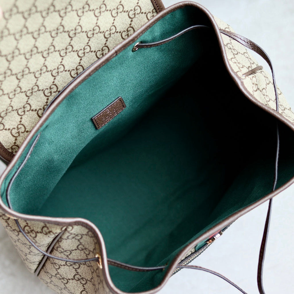 Gucci bag