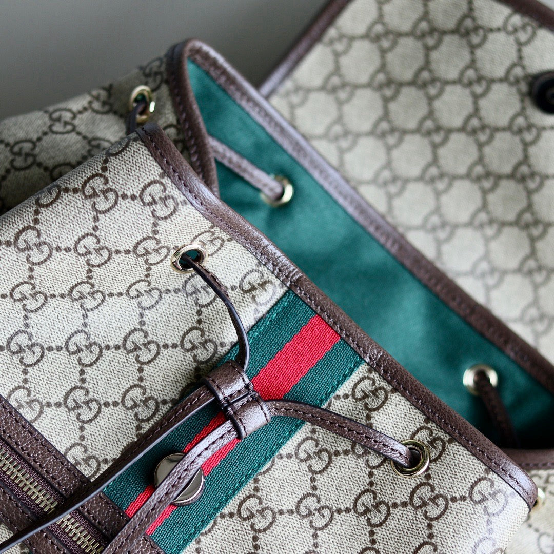 Gucci bag