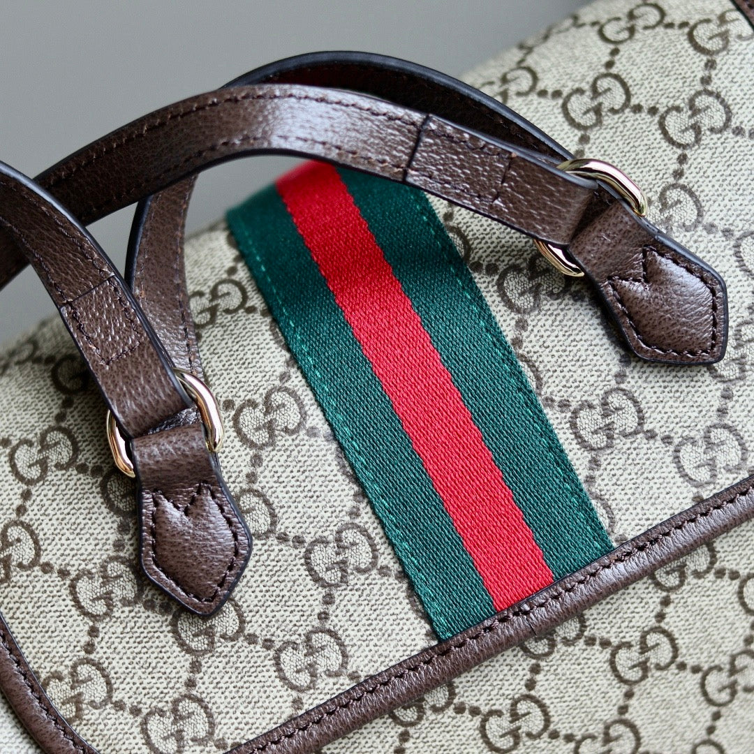 Gucci bag