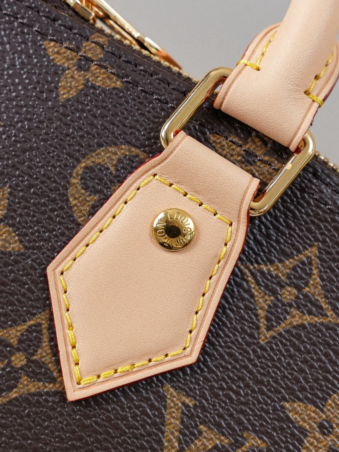 lv bag