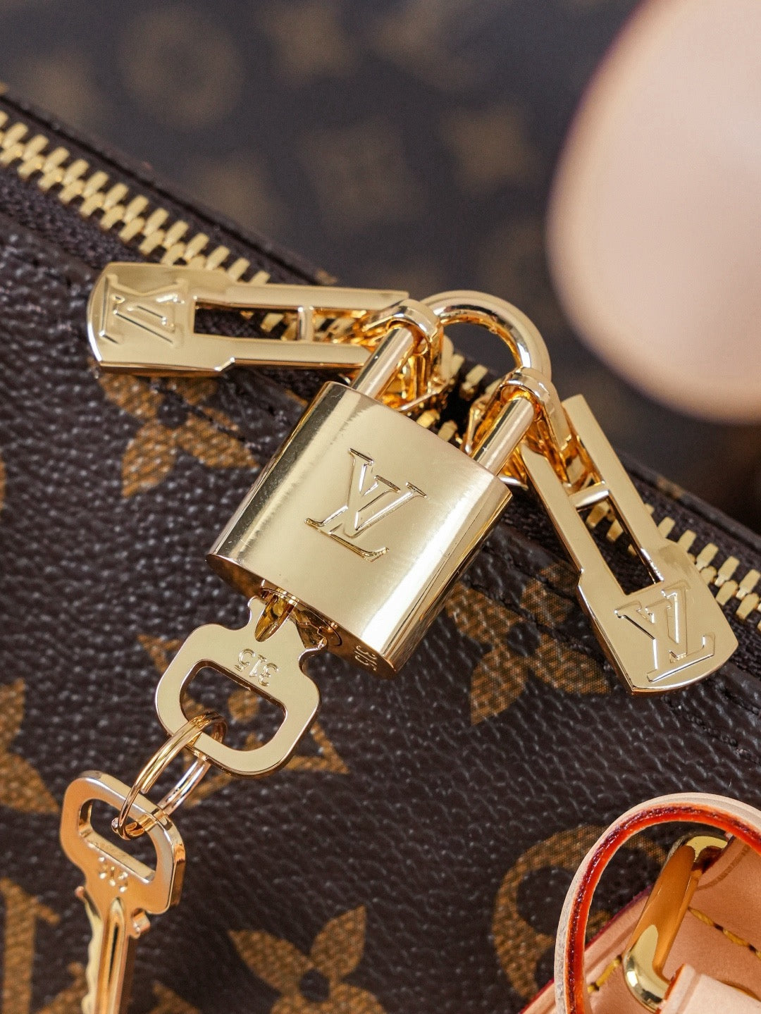 lv bag