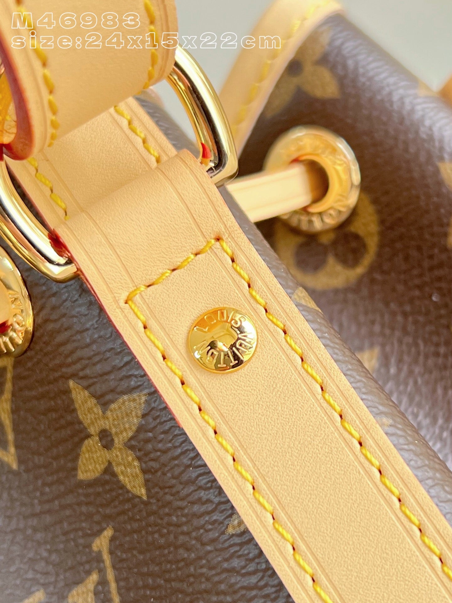 Lv bag