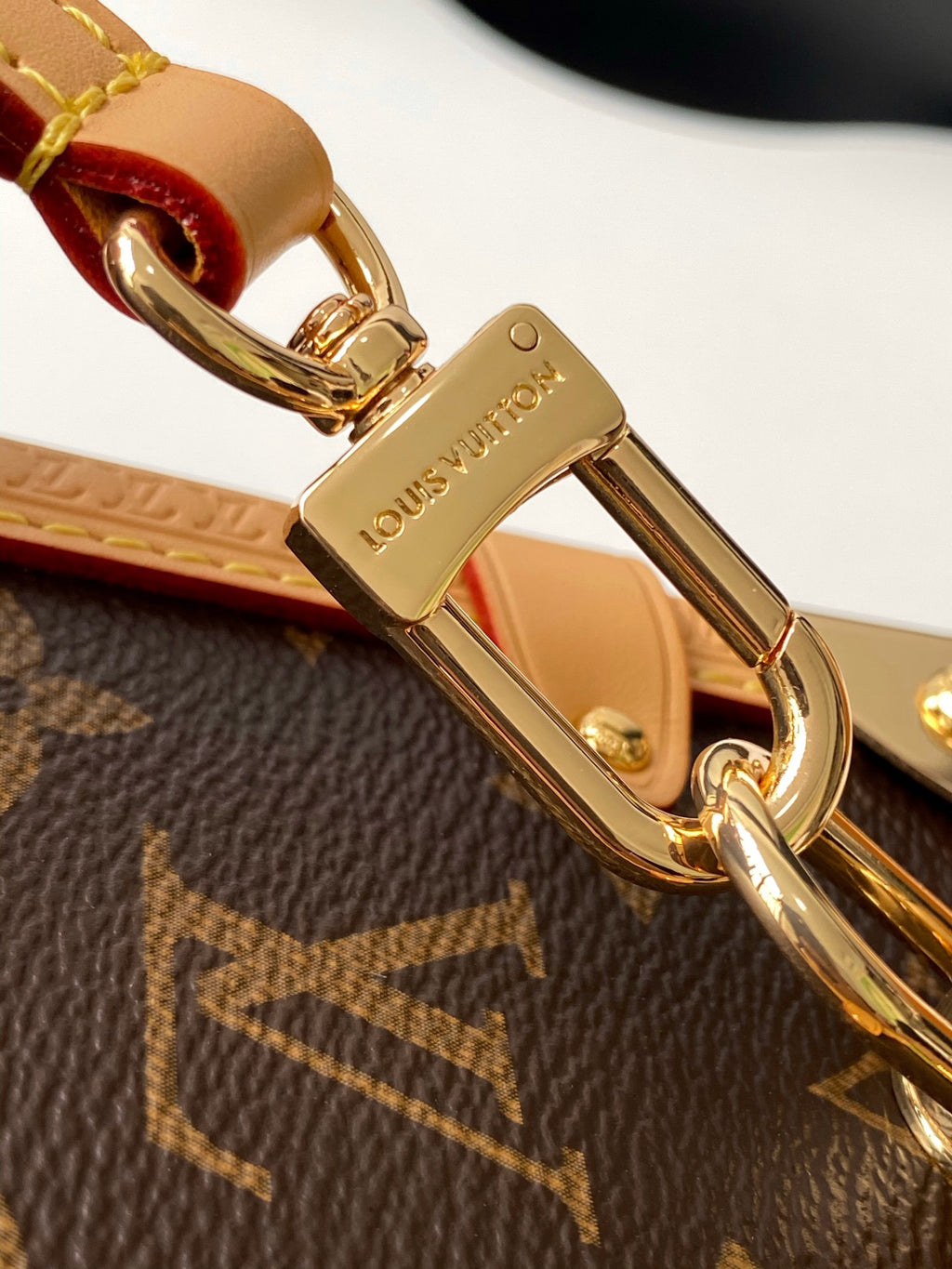 Lv bag