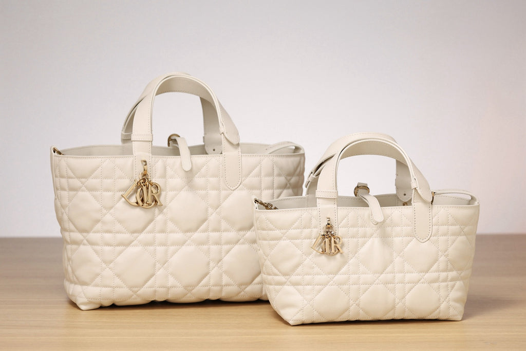 Dior bag
