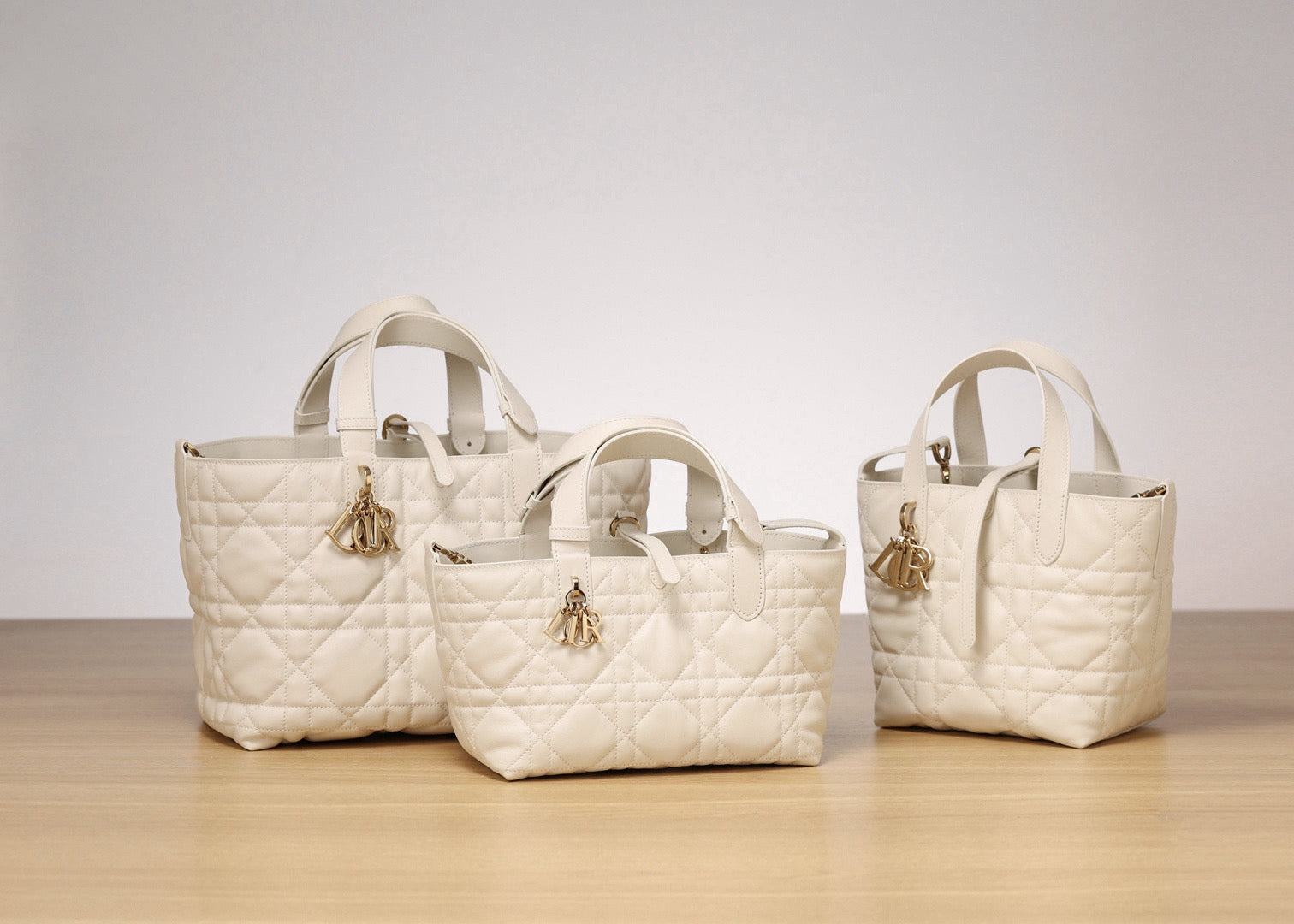 Dior bag