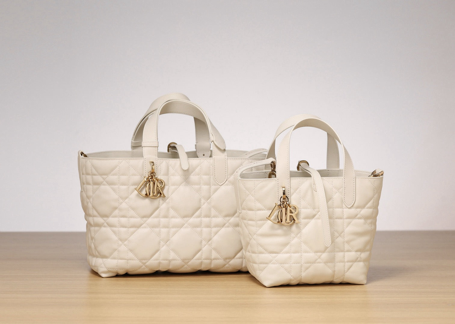 Dior bag
