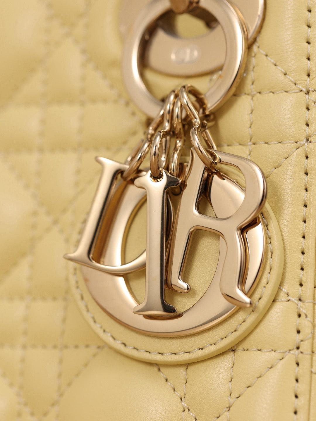 Dior bag