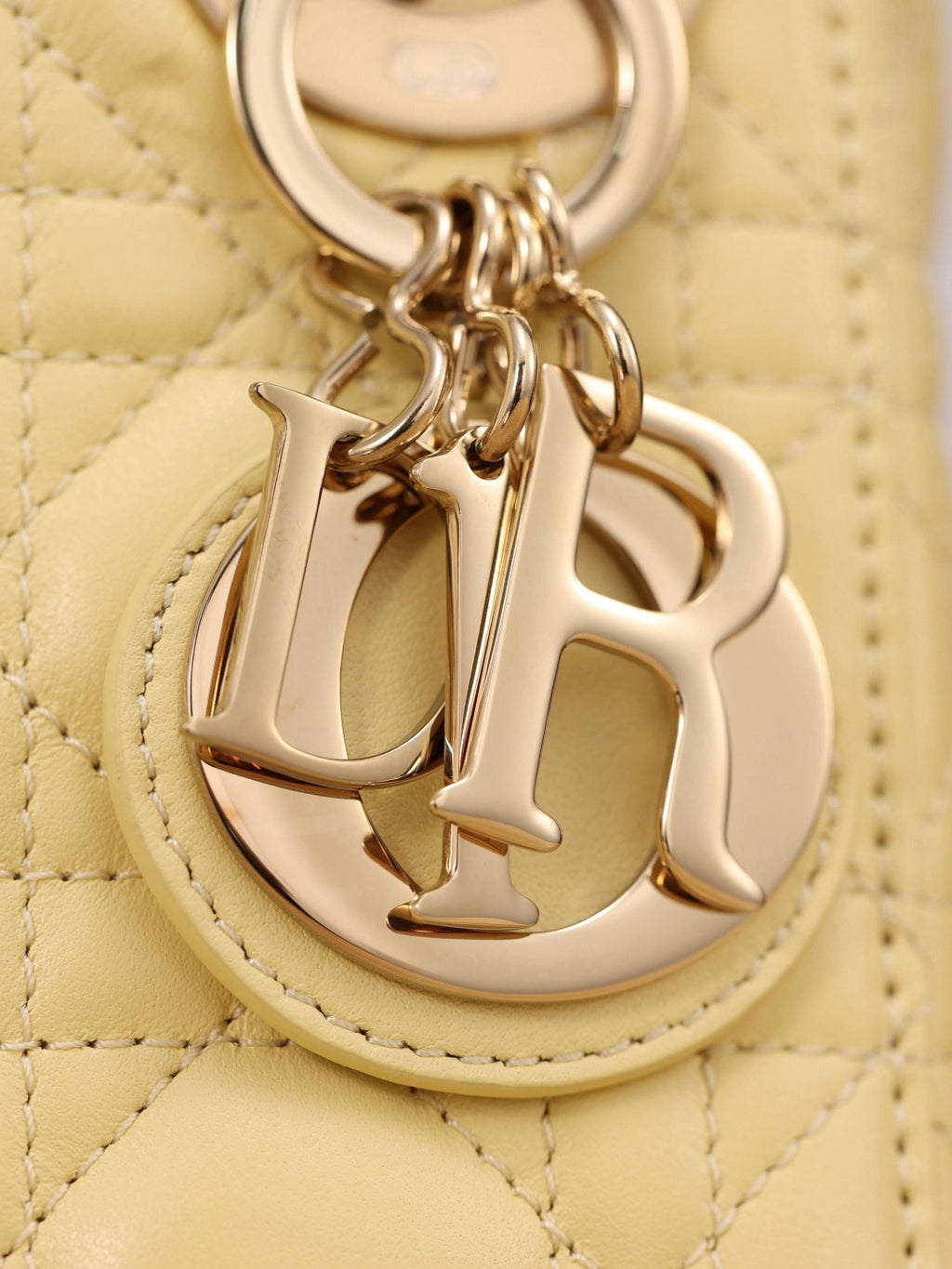 Dior bag