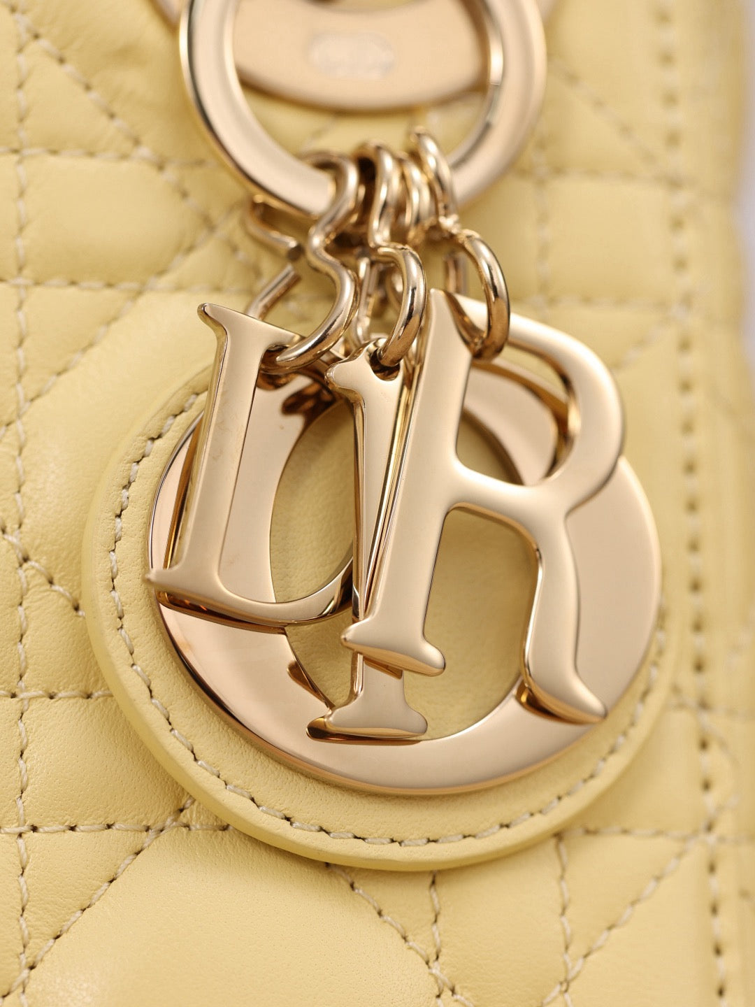 Dior bag