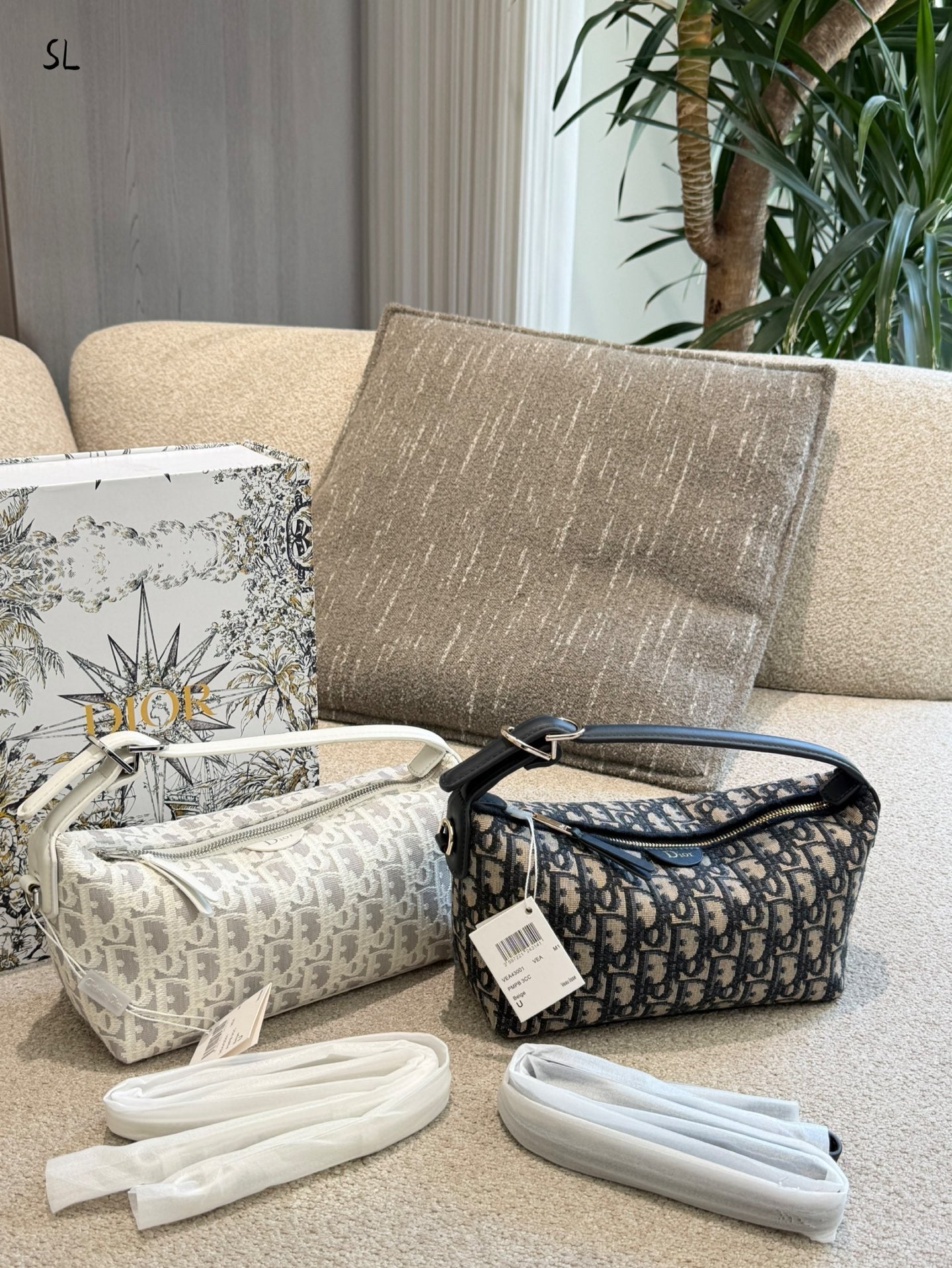 Dior bag