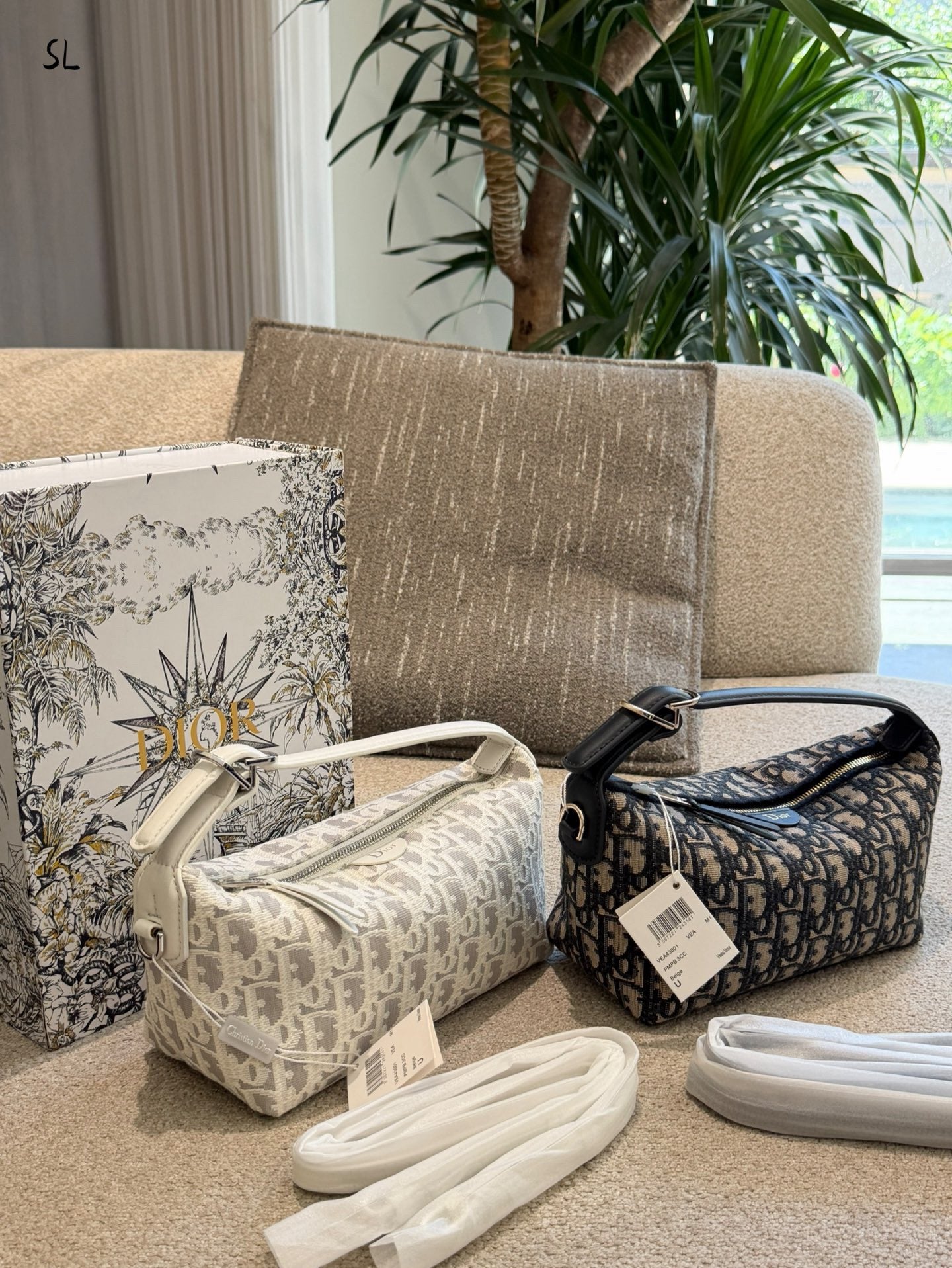 Dior bag