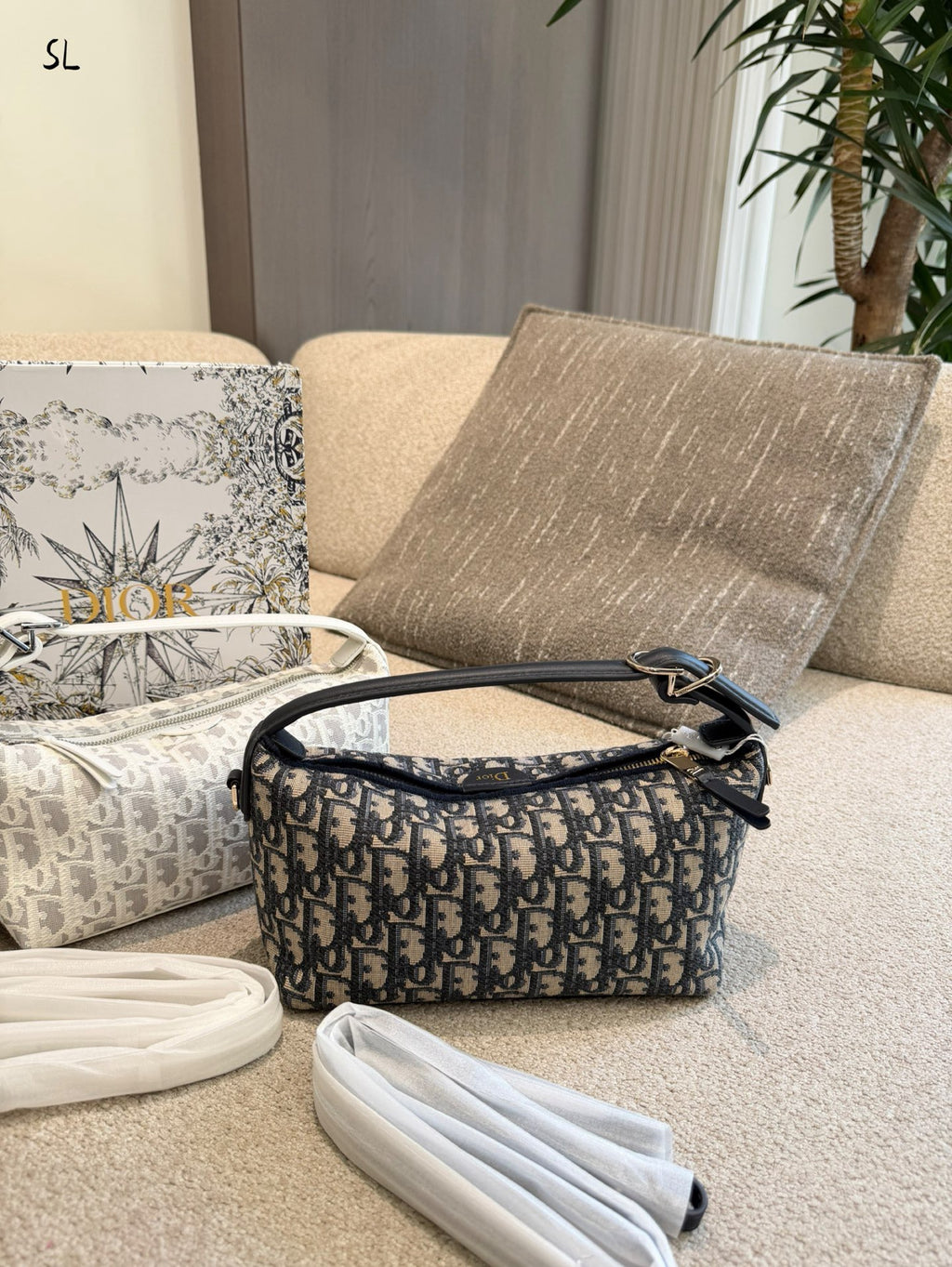 Dior bag