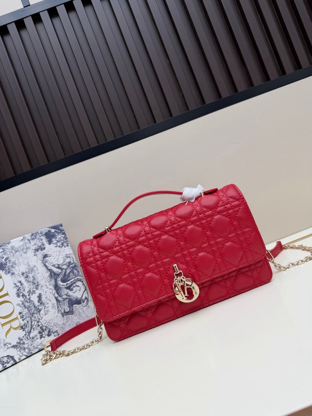 Diorbag