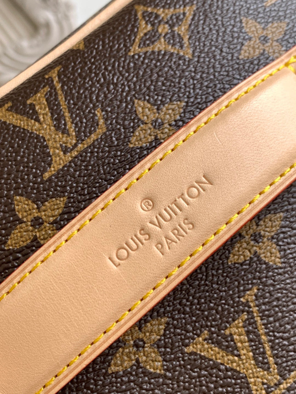 Lv bag