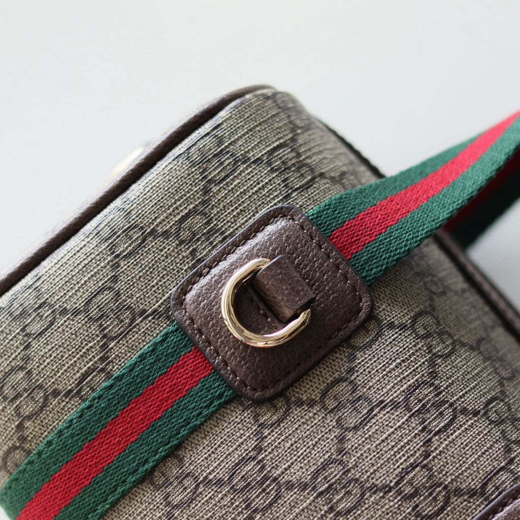 Gucci bag