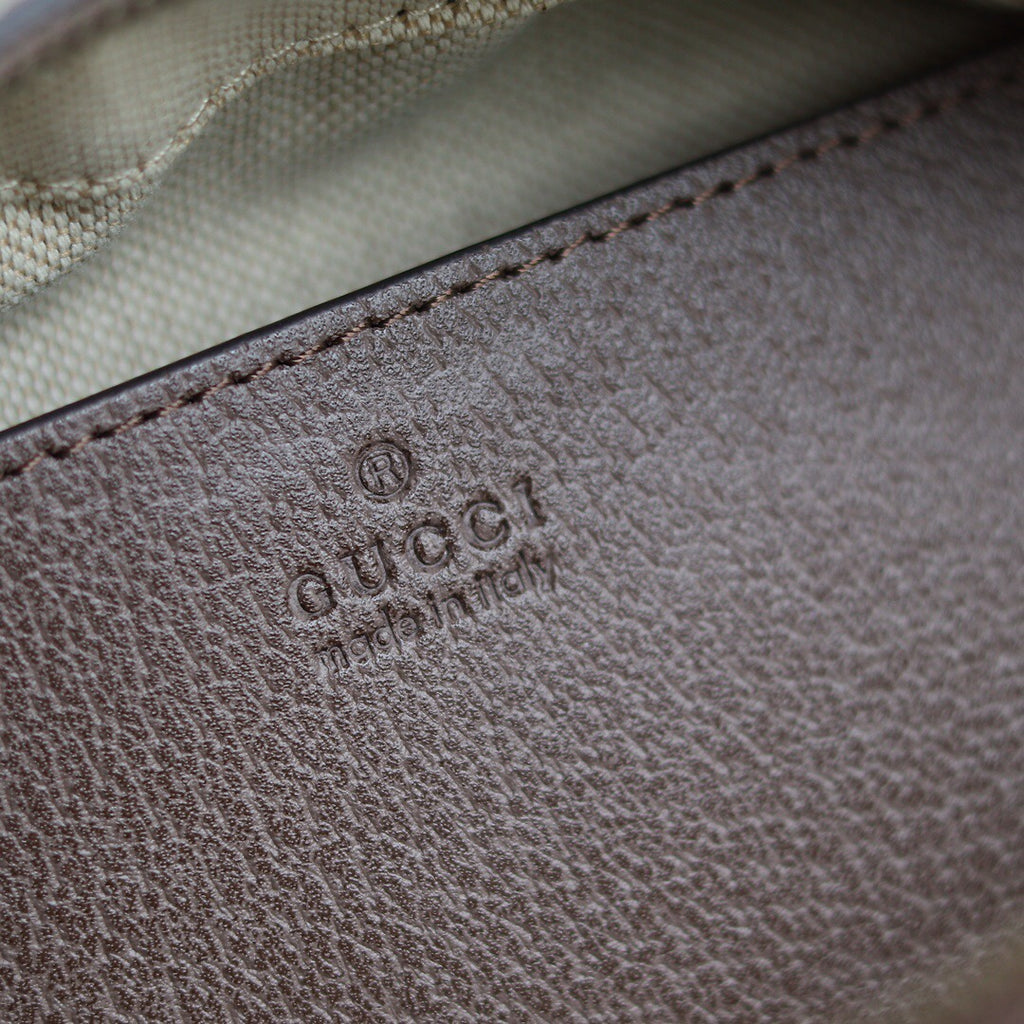 Gucci bag
