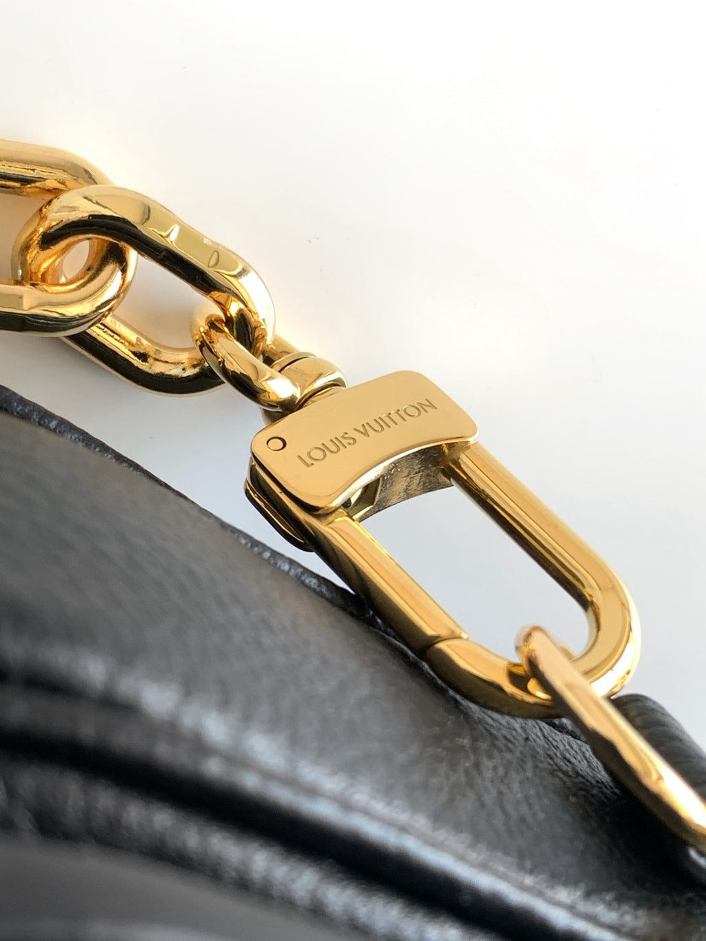 Lv bag