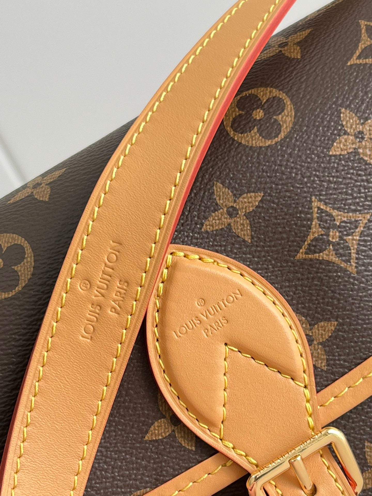 Lv bag