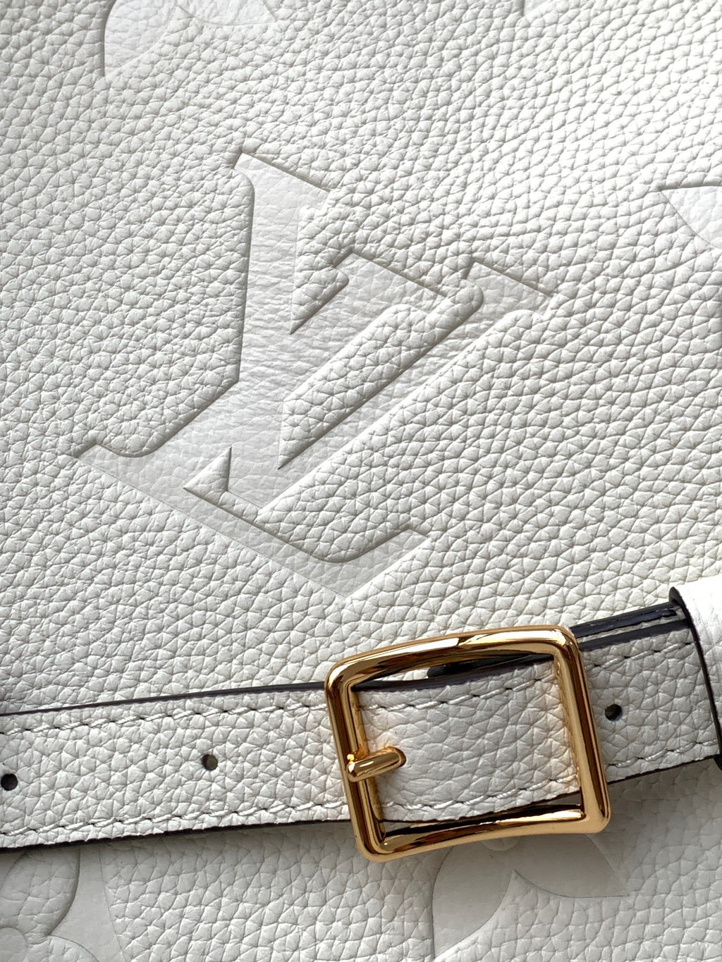 Lv bag