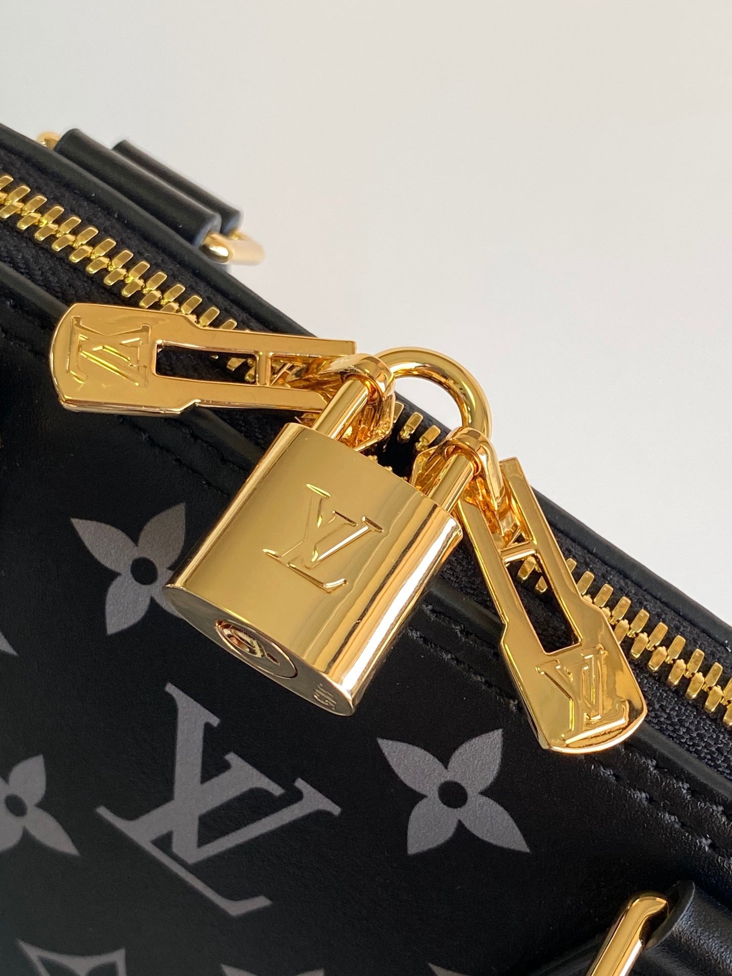 Lv bag