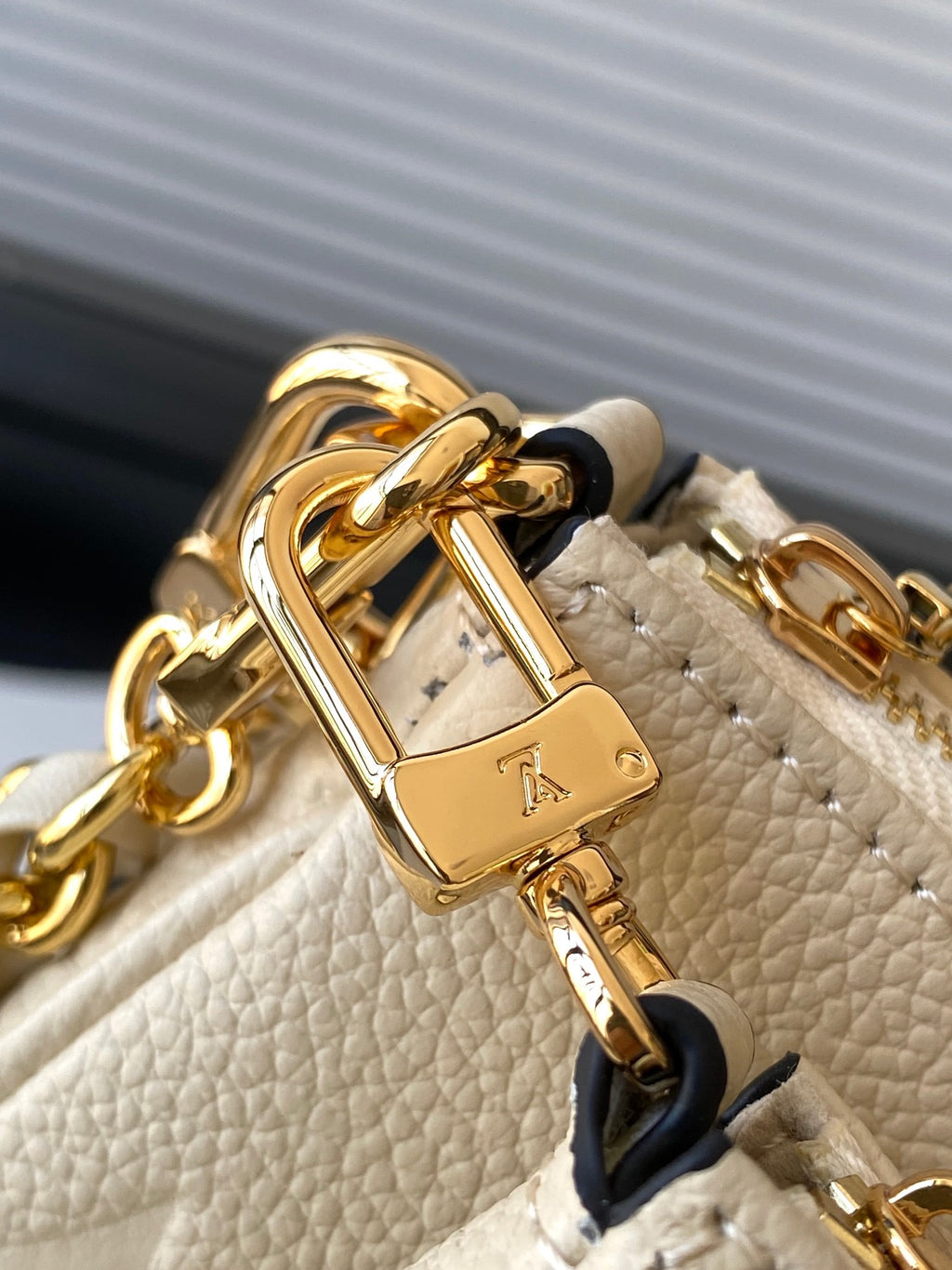 Lv bag