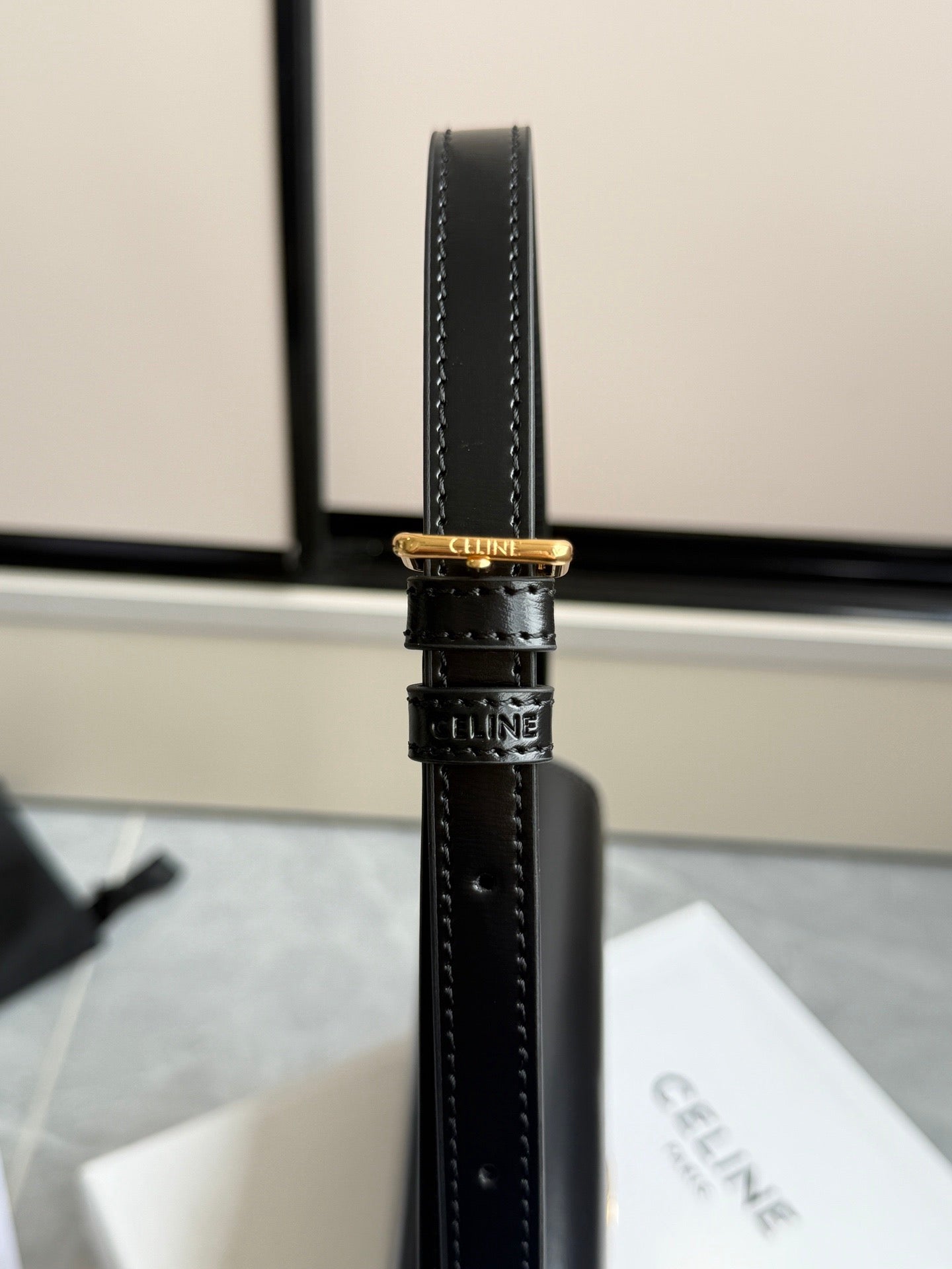 celine bag