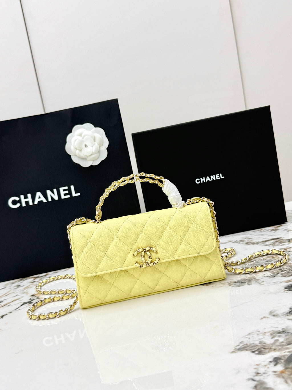Chanel bag