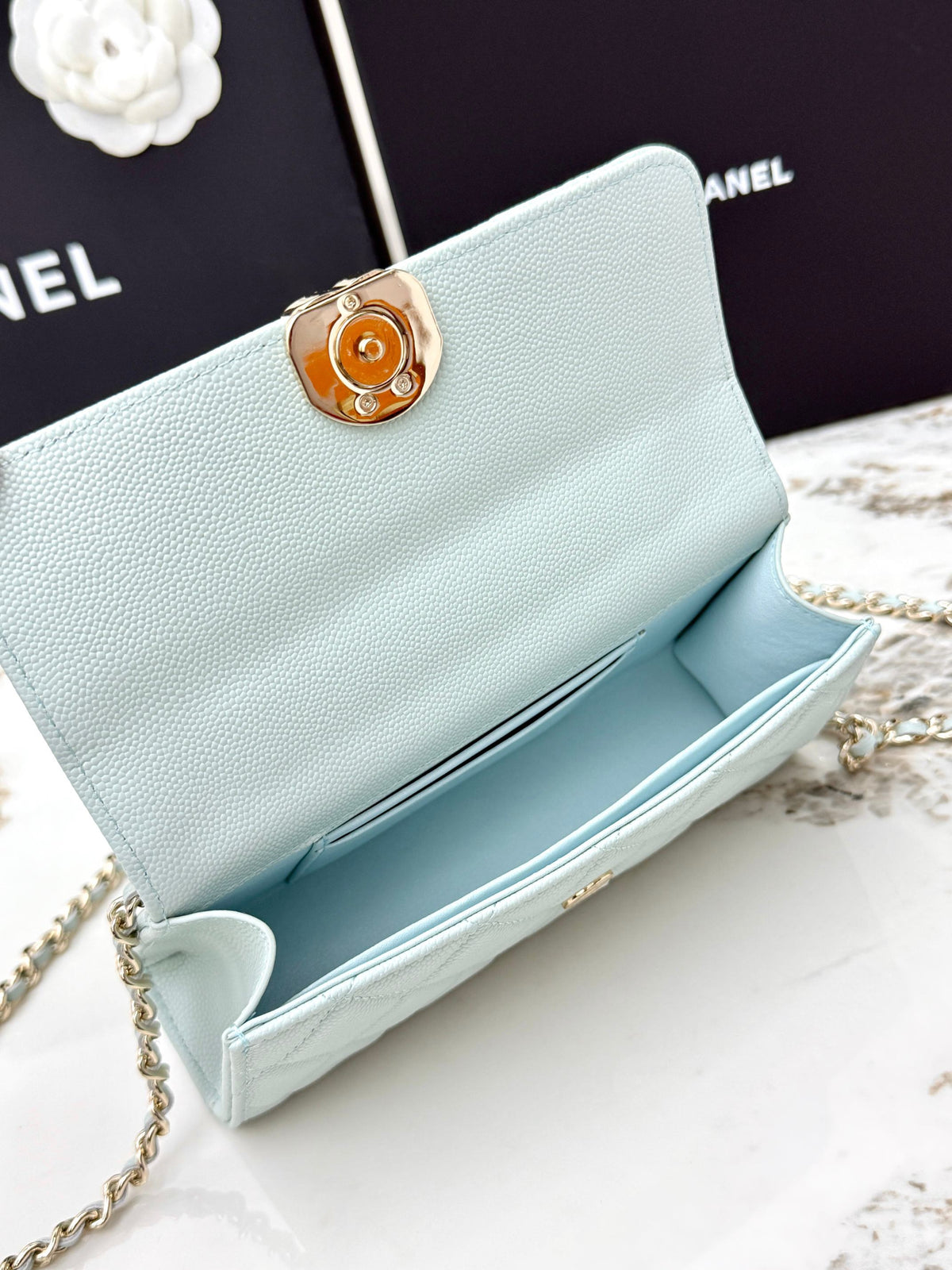 Chanel bag