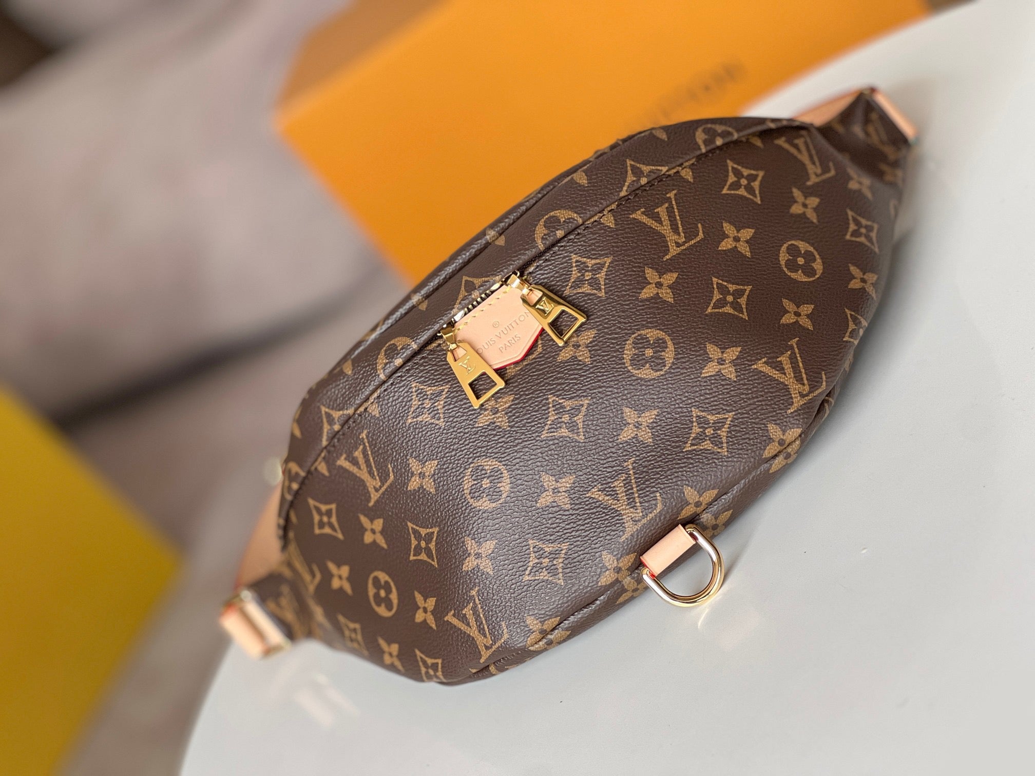 Lv bag