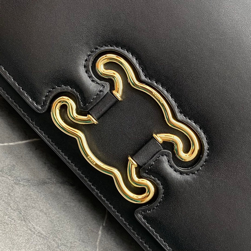 celine bag