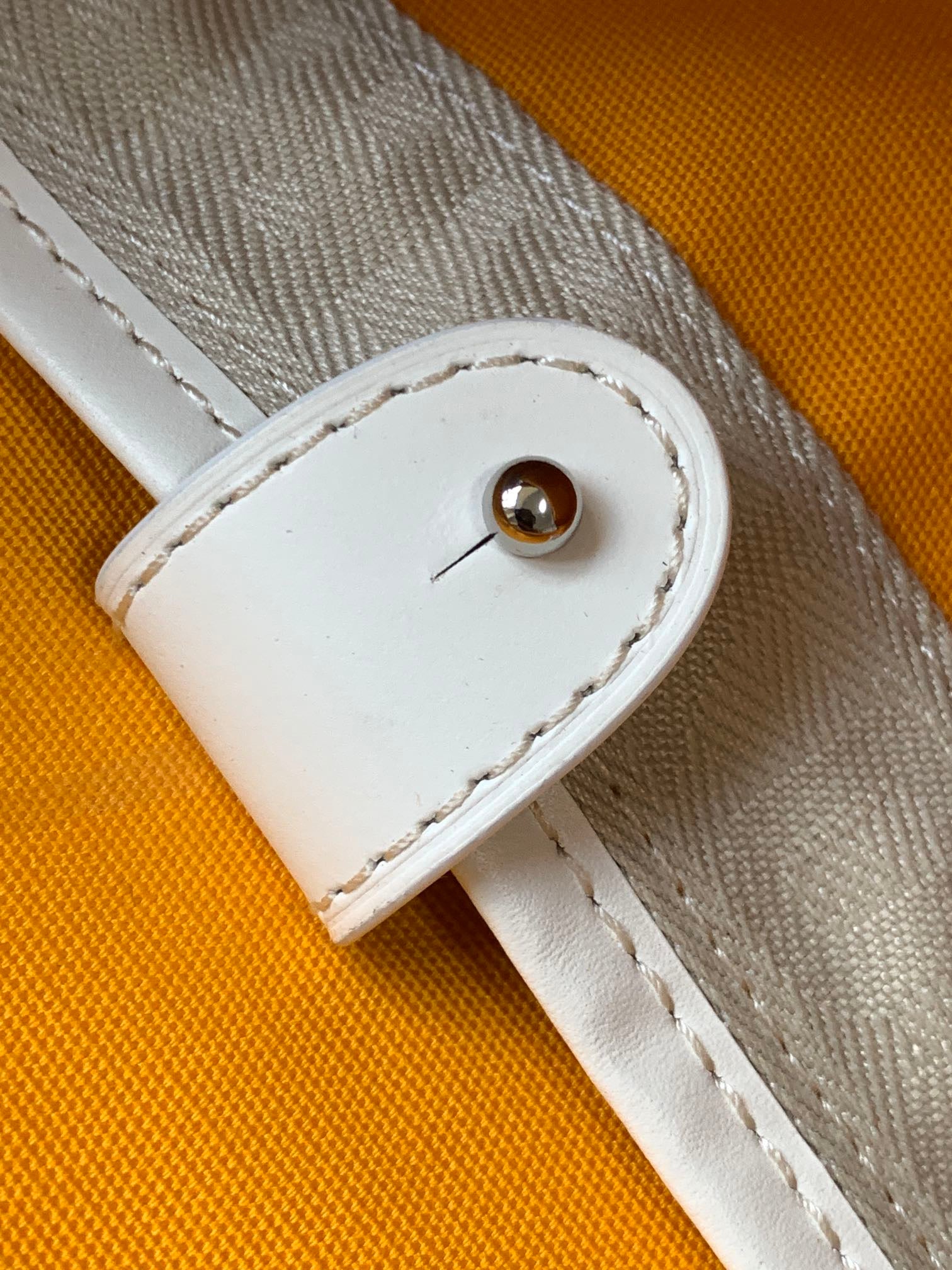 Goyard bag