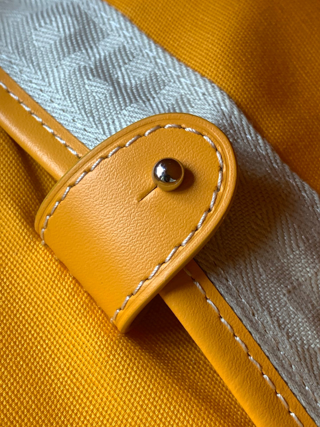 Goyard bag