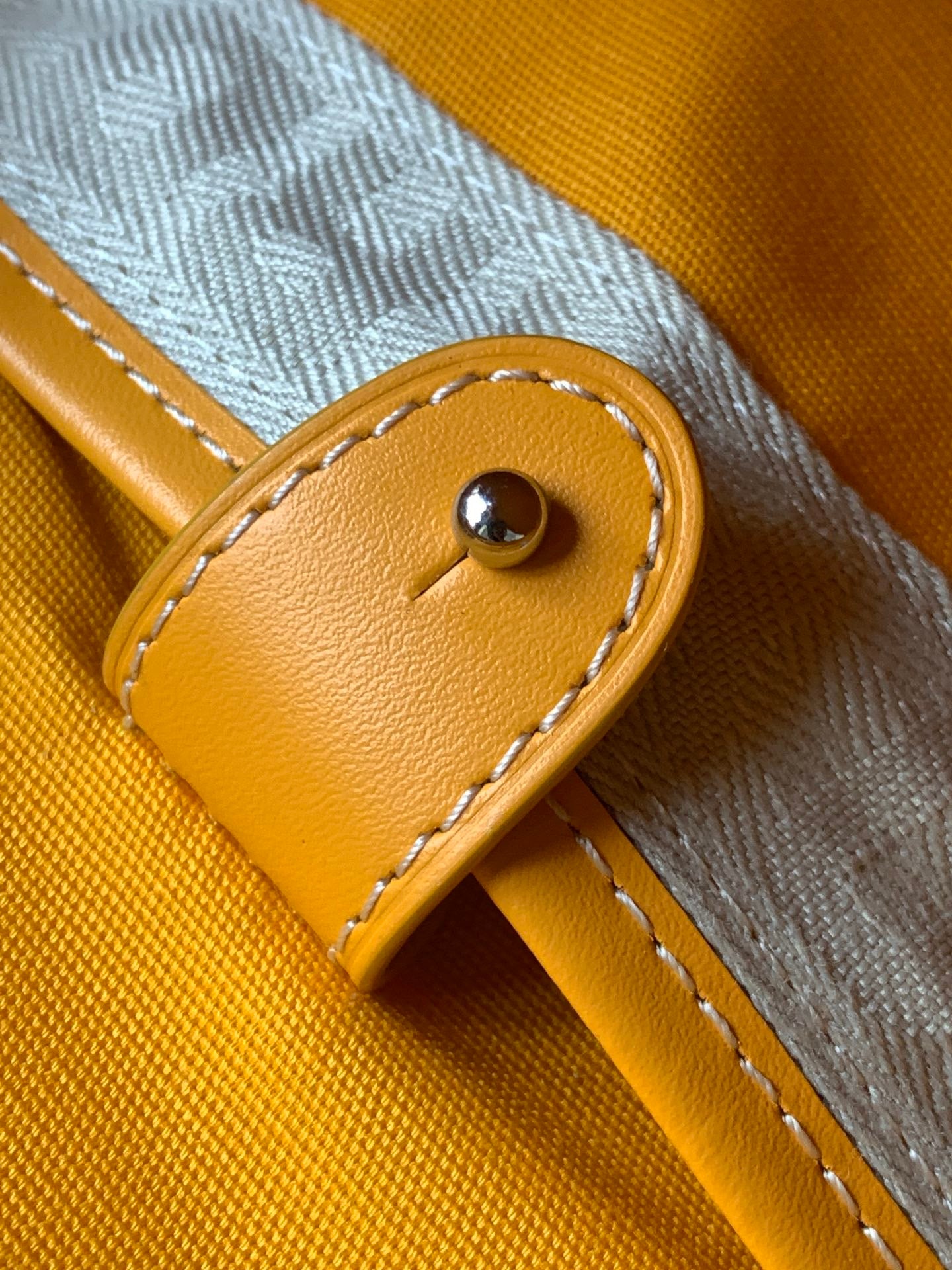 Goyard bag